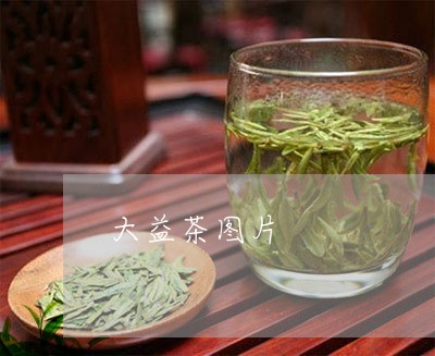 大益茶图片/2023090221626