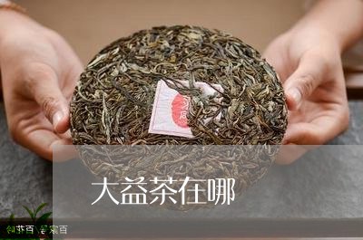 大益茶在哪/2023041778223