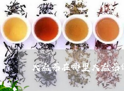 大益茶在哪里大益茶保质期/2023051292826