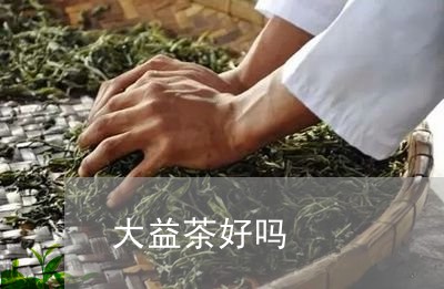 大益茶好吗/2023090225958