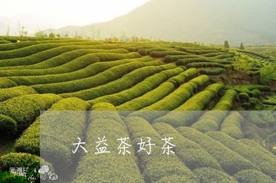 大益茶好茶/2023041742650