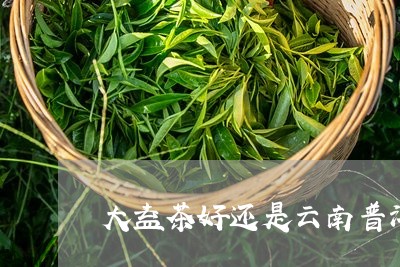 大益茶好还是云南普洱茶好喝一点/2023110365141