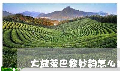 大益茶巴黎妙韵怎么样/2023071624035