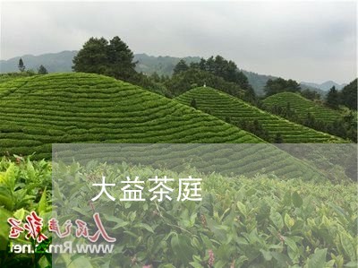 大益茶庭/2023090165137