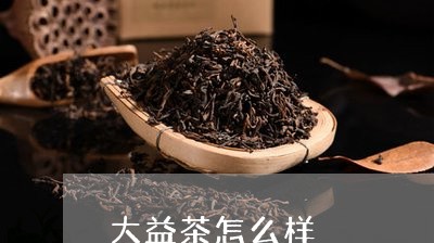 大益茶怎么样/2023042917426