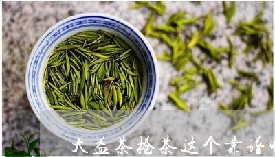 大益茶抢茶这个靠谱吗/2023071602717