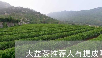 大益茶推荐人有提成吗/2023061064847