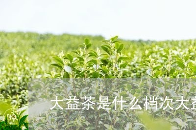 大益茶是什么档次大益不是茶/2023052673927