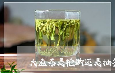 大益茶是抢购还是抽签/2023071612825