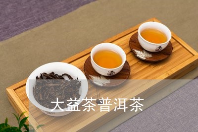 大益茶普洱茶/2023042978414