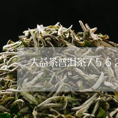 大益茶普洱茶7562/2023062811694