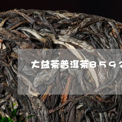 大益茶普洱茶8592/2023062806958