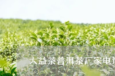 大益茶普洱茶厂家电话地址/2023112562605