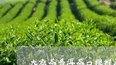 大益茶普洱茶口粮推荐/2023121542926