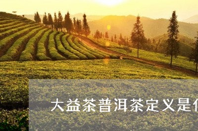 大益茶普洱茶定义是什么/2023110596592