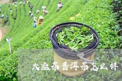 大益茶普洱茶怎么样/2023071149354