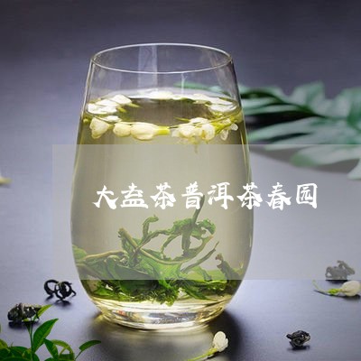 大益茶普洱茶春园/2023100746360