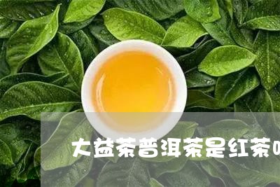 大益茶普洱茶是红茶吗/2023062374249