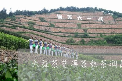 大益茶普洱茶熟茶润品/2023100771523