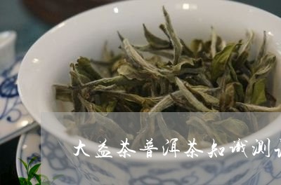 大益茶普洱茶知识测试/2023100775027