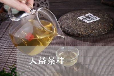 大益茶柱/2023110849362