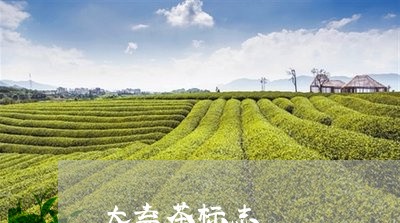 大益茶标志/2023041786347