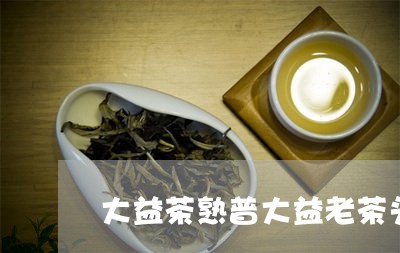 大益茶熟普大益老茶头/2023092334939