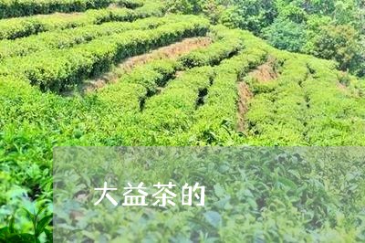 大益茶的/2023090166049