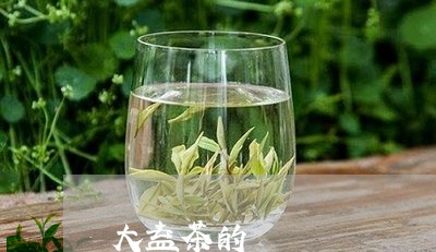 大益茶的/2023121909362