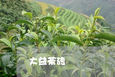 大益茶砖/2023121979485