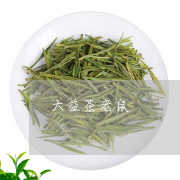 大益茶老鼠/2023090216948