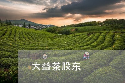 大益茶股东/2023041811529