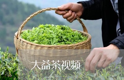 大益茶视频/2023090277271