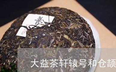 大益茶轩辕号和仓颉号/2023061068280