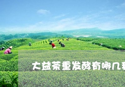 大益茶重发酵有哪几种/2023071681604