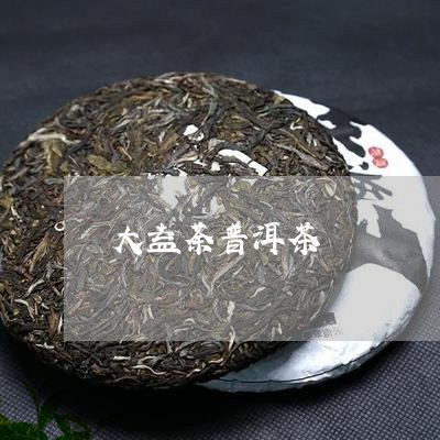 大益荼普洱茶/2023042500511