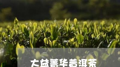 大益菁华普洱茶/2023081863736