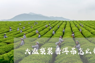 大益袋装普洱茶怎么样/2023092971682