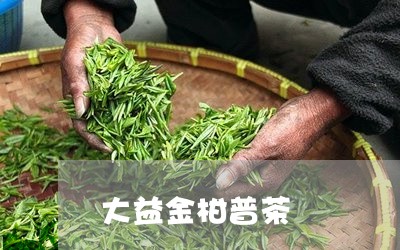 大益金柑普茶/2023042953249