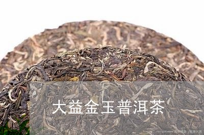 大益金玉普洱茶/2023081847082