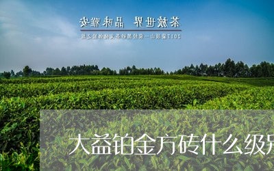 大益铂金方砖什么级别/2023092149582