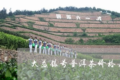 大益银号普洱茶价格表/2023062957303