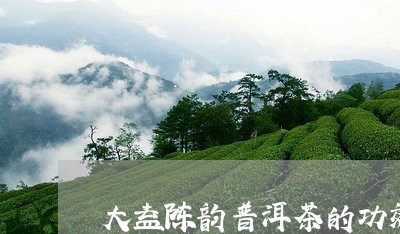 大益陈韵普洱茶的功效/2023072308059