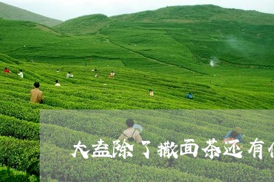 大益除了撒面茶还有什么茶/2023051224029