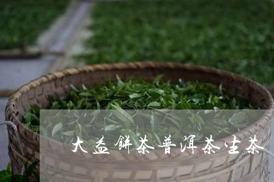 大益饼茶普洱茶生茶/2023120561506