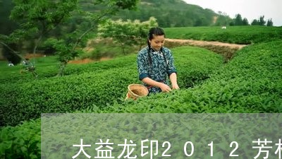 大益龙印2012芳村报价/2023051200480