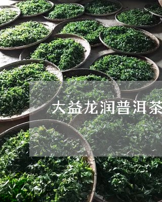 大益龙润普洱茶哪个好/2023093055059