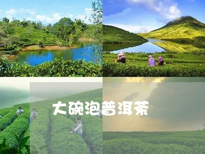 大碗泡普洱茶/2023042809566