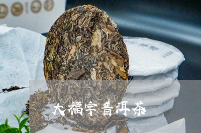 大福字普洱茶/2023042888133