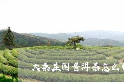 大秦庄园普洱茶怎么样/2023101763817